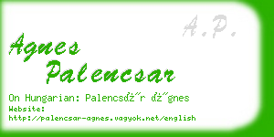 agnes palencsar business card